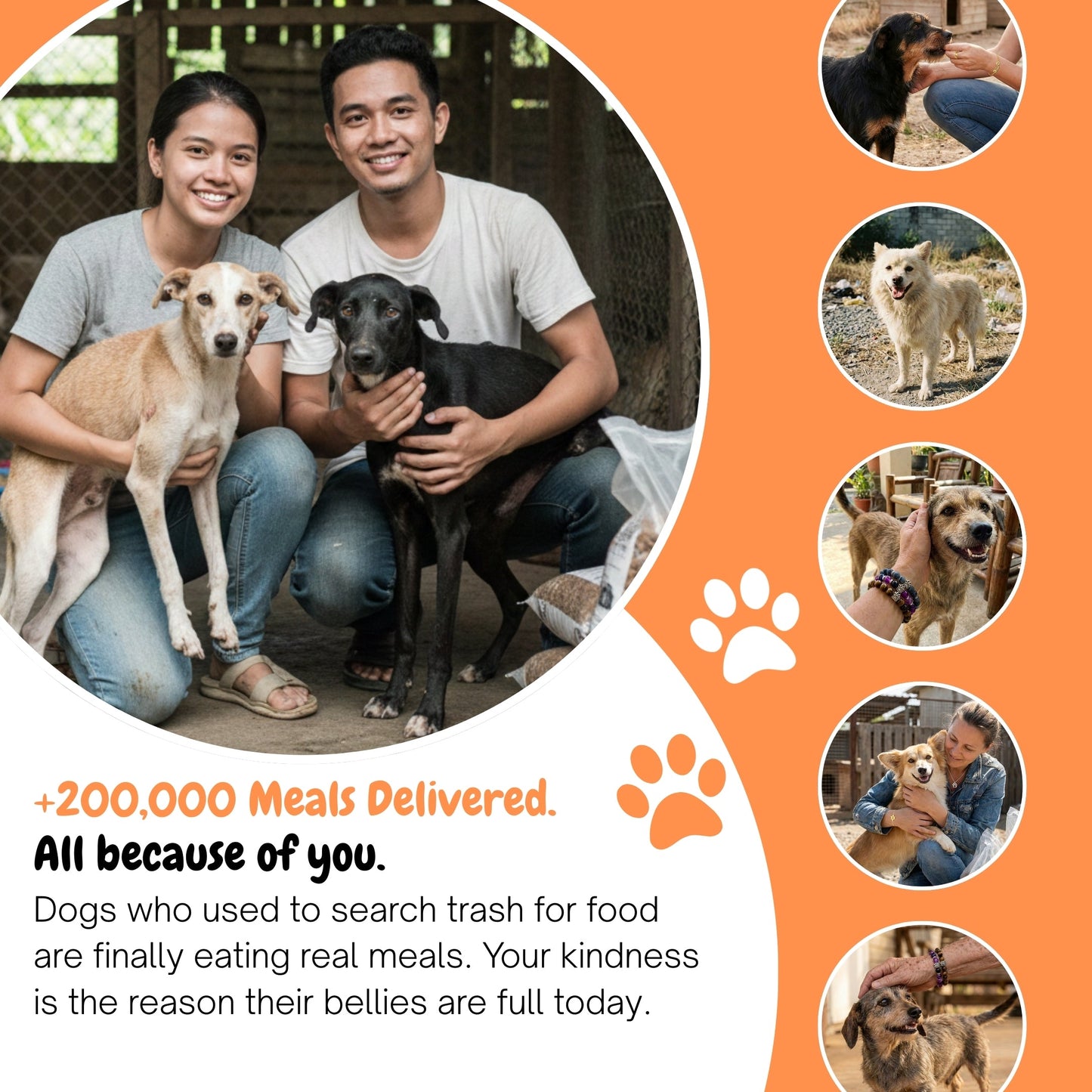 Pink Heart Paw Bracelet