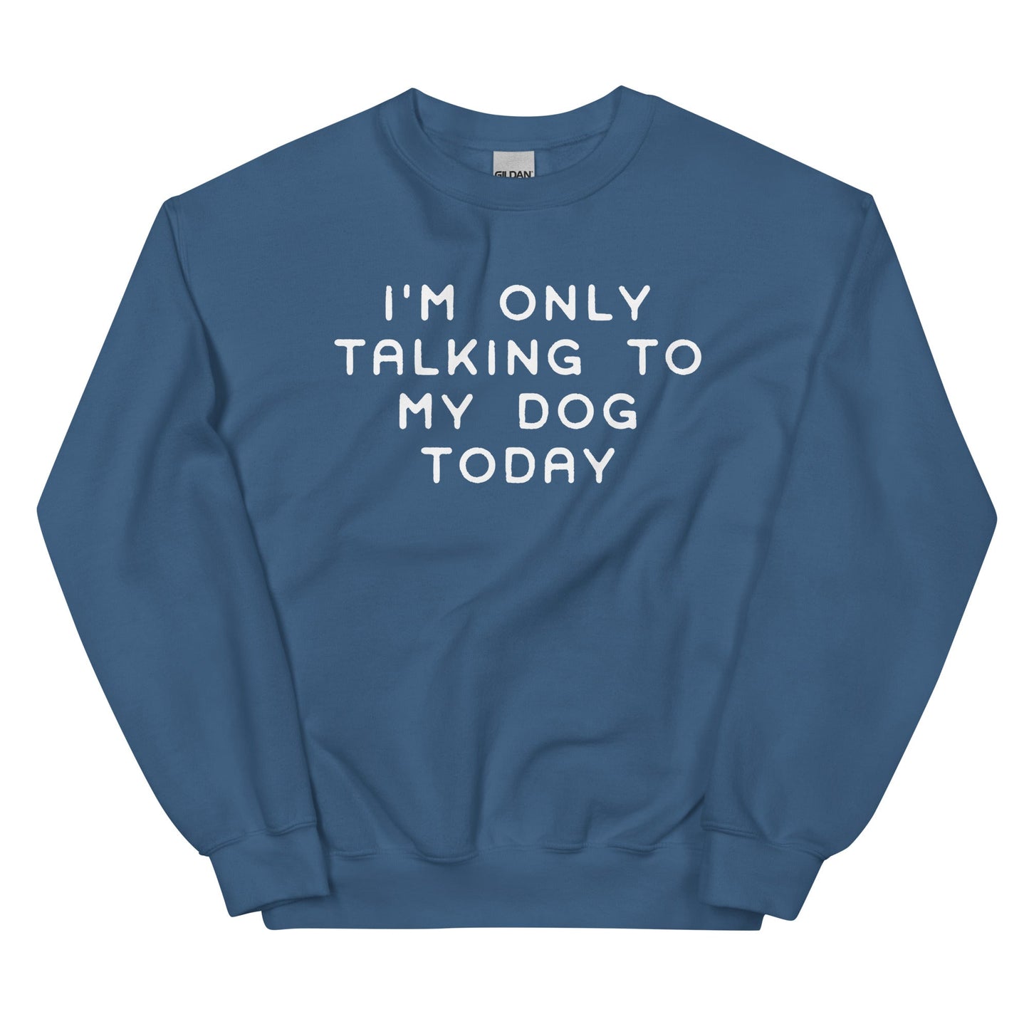 I'm Only Talking to My Dog Today Sweatshirt