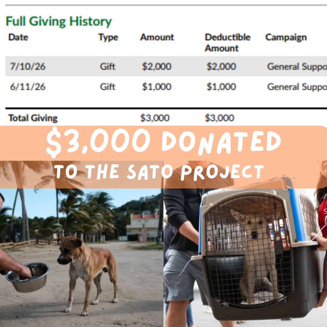 Something Good Happened Because of You: We Sent $3,000 to The Sato Project