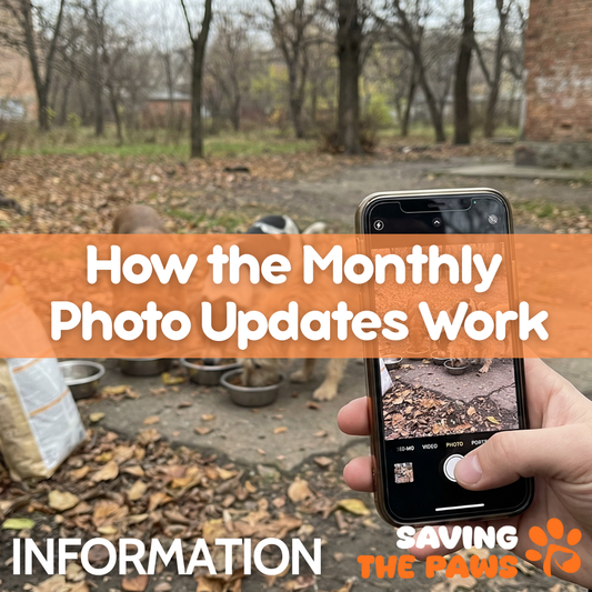 How the Monthly Photo Updates Work