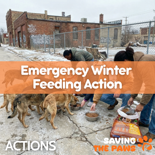 Emergency Winter Feeding Action