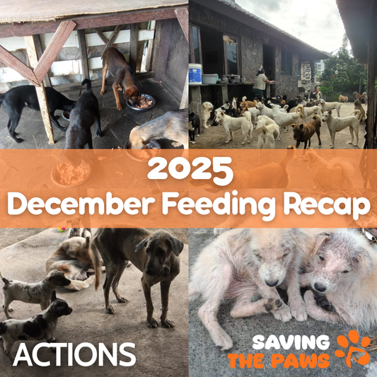 December 2025 Feeding Recap