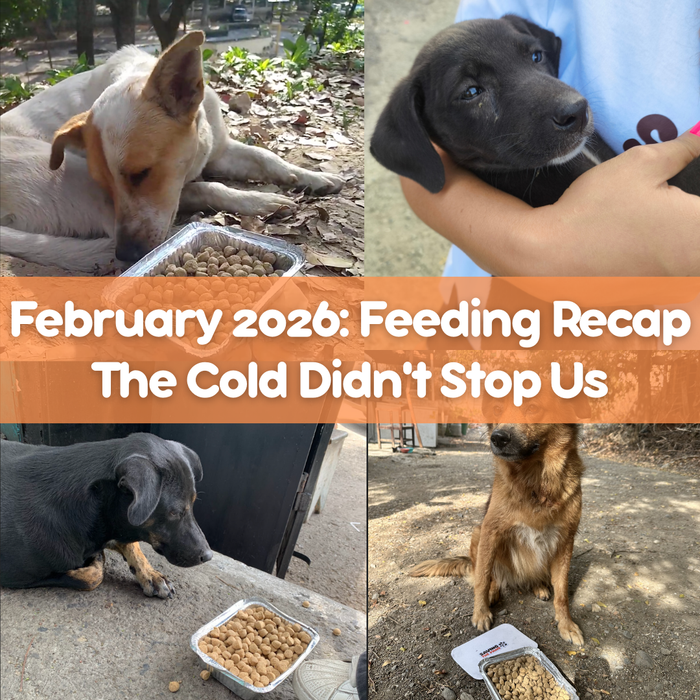 February Feeding Recap 2026