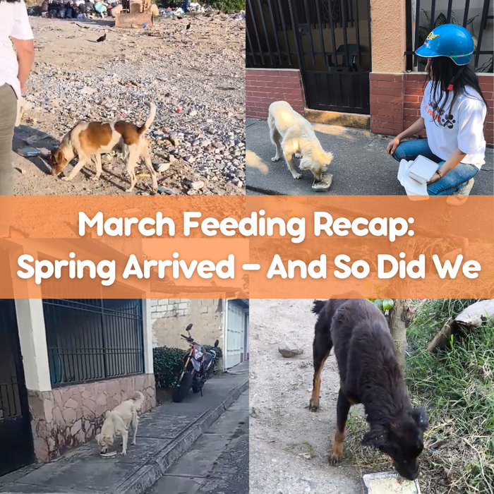 March Feeding Recap: Spring Arrived — And So Did We