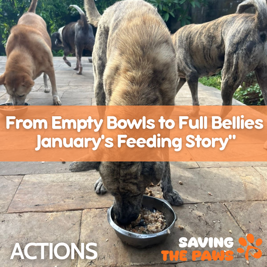 From Empty Bowls to Full Bellies: January's Feeding Story