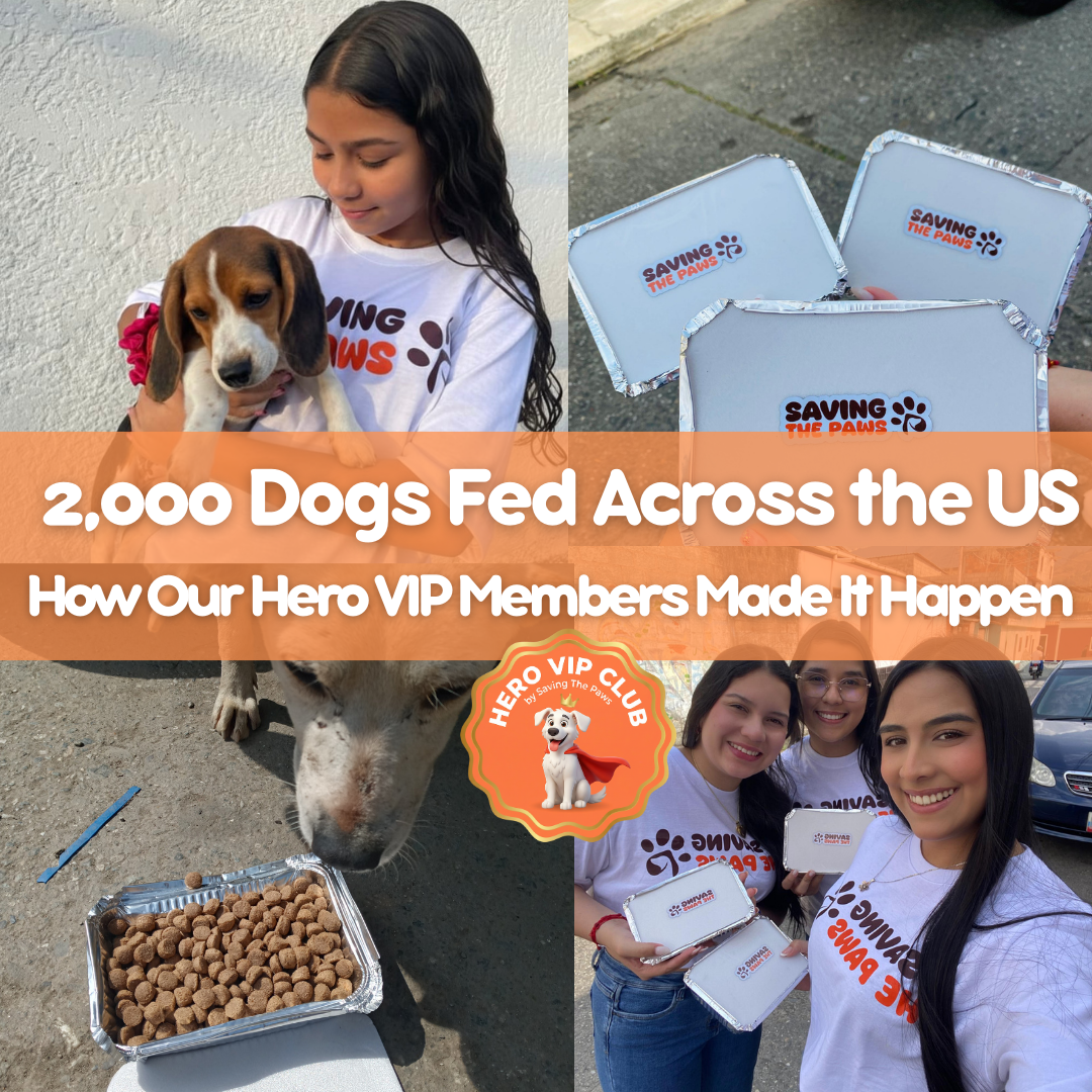 2,000 Dogs Fed Across the US: How Our Hero VIP Members Made It Happen