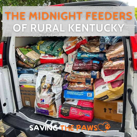 The Midnight Feeders of Rural Kentucky