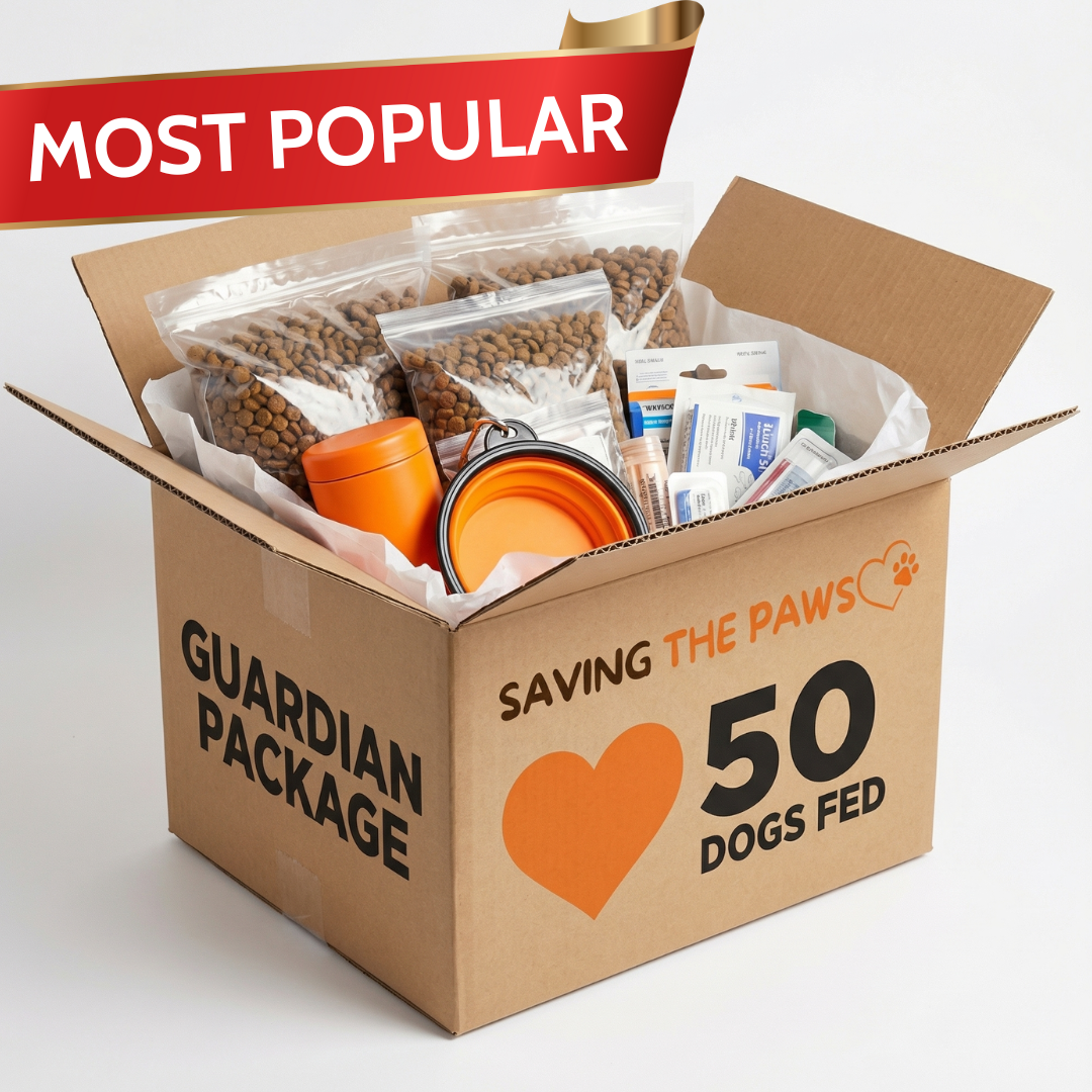 Urgent! Be the Lifeline for Millions of Abandoned Dogs Starving This Winter