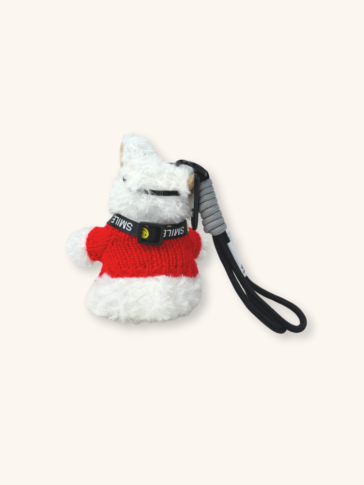 Paparazzi Snowy Charm