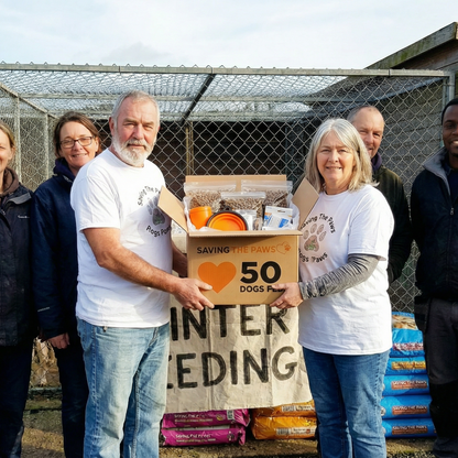Urgent! Be the Lifeline for Millions of Abandoned Dogs Starving This Winter