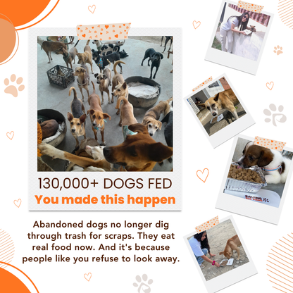 Life is Short Spoil Your Dog T-Shirt