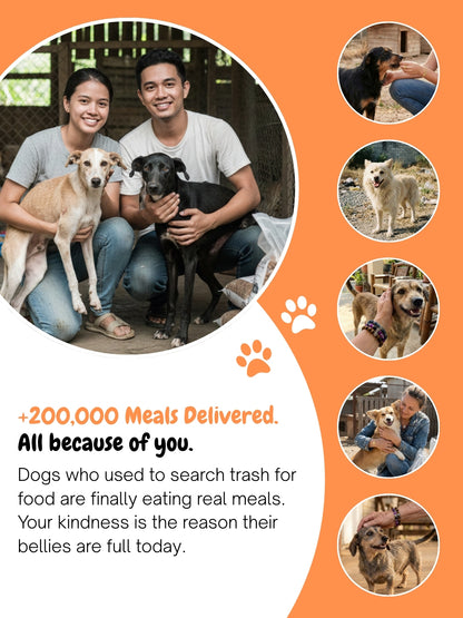 Autumn Dog Sweatshirt