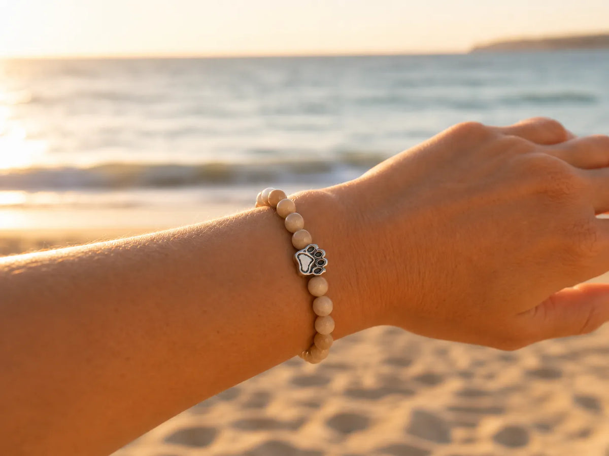 Dogs being helped through bracelet purchases