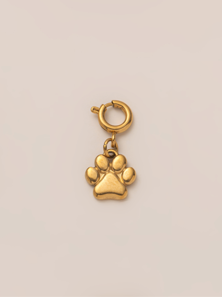 Lucky Steps Charm VIP