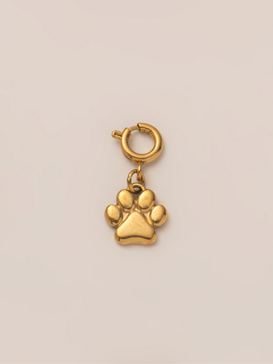 Lucky Steps Charm VIP