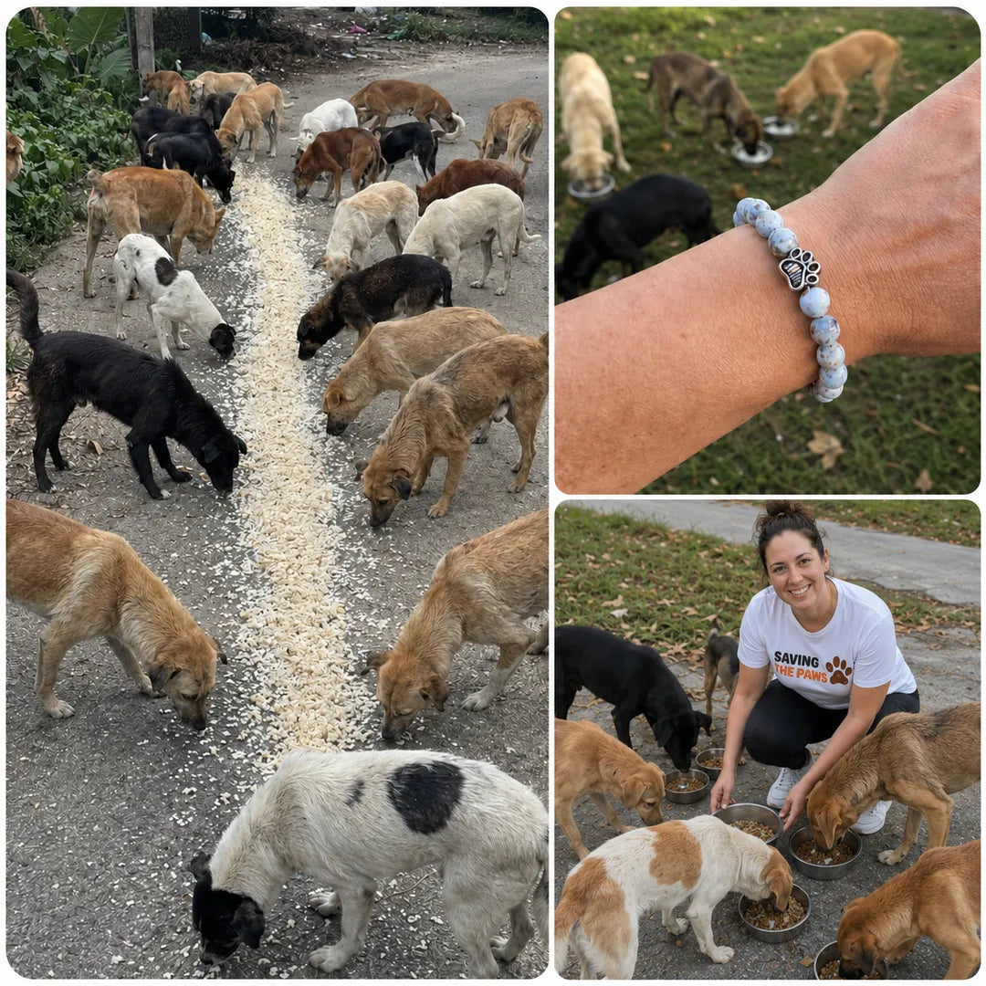 Dogs being helped