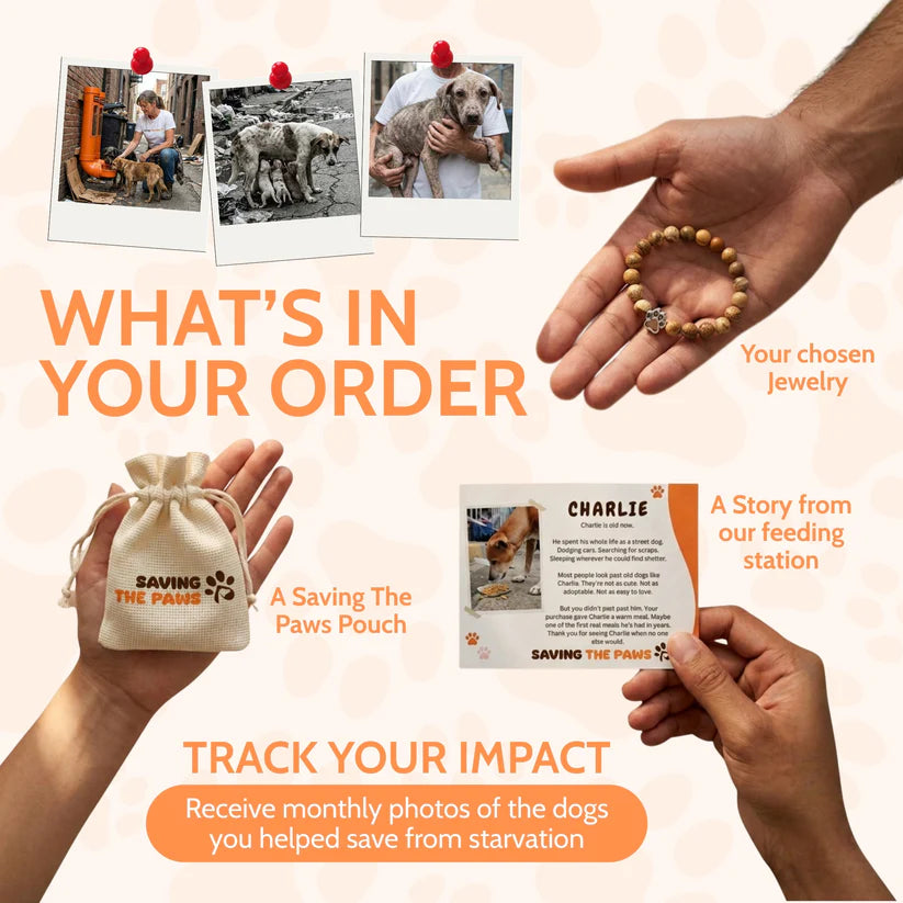 Free Today : America Trio Bracelet Set (Limited Edition)