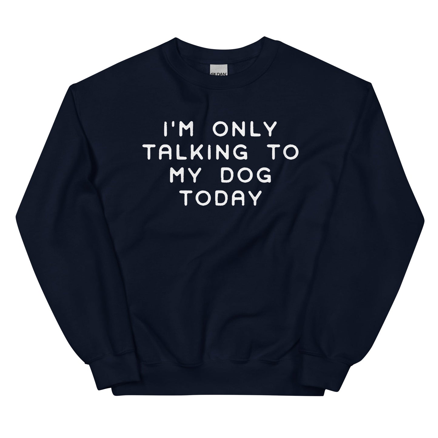 I'm Only Talking to My Dog Today Sweatshirt