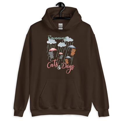 Raining Cats & Dogs Hoodie