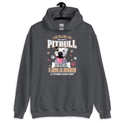 I Am Not a Pitbull I am Baby Hoodie