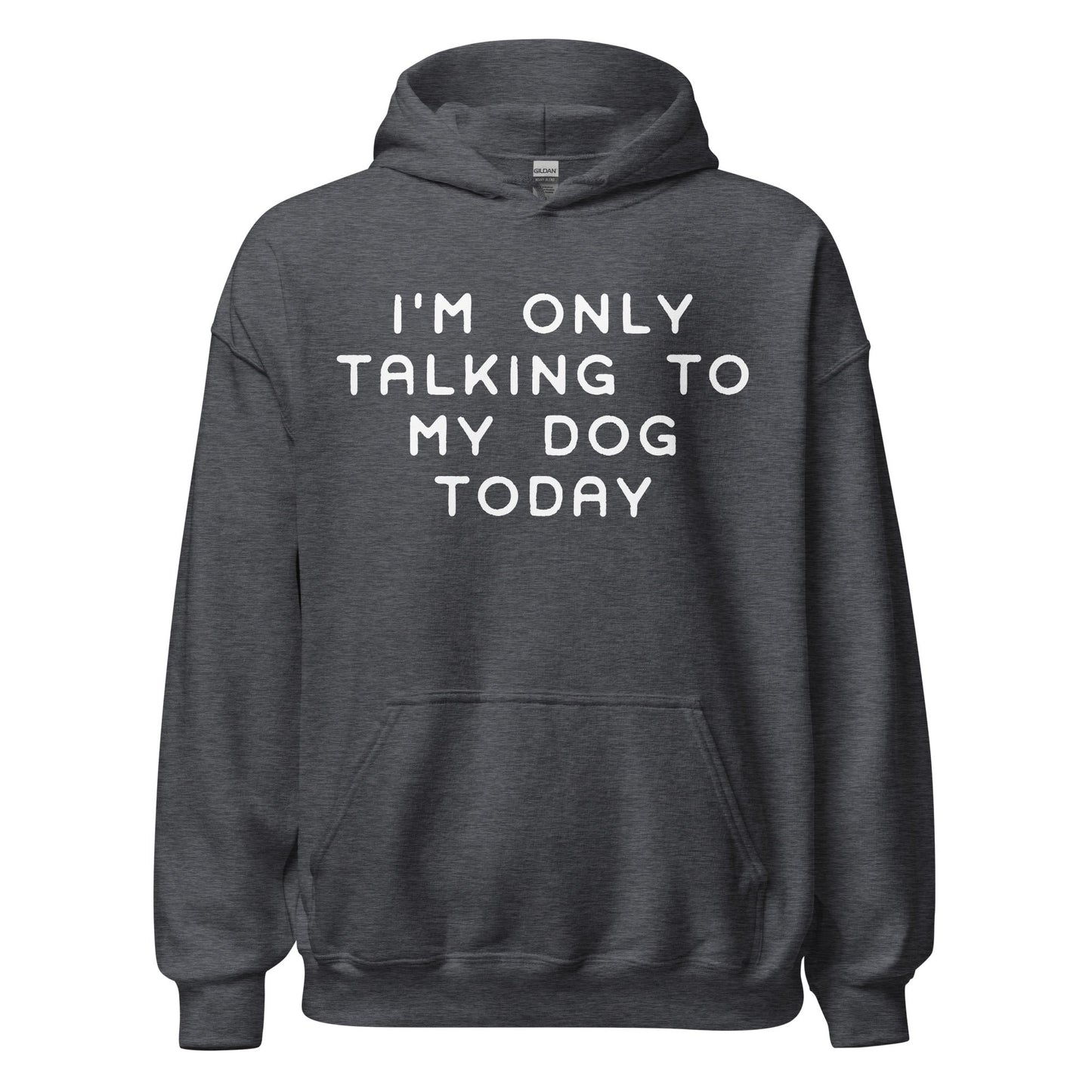 I'm Only Talking To My Dog Today Hoodie